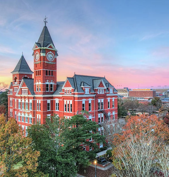 a house with bushes in front of a castle